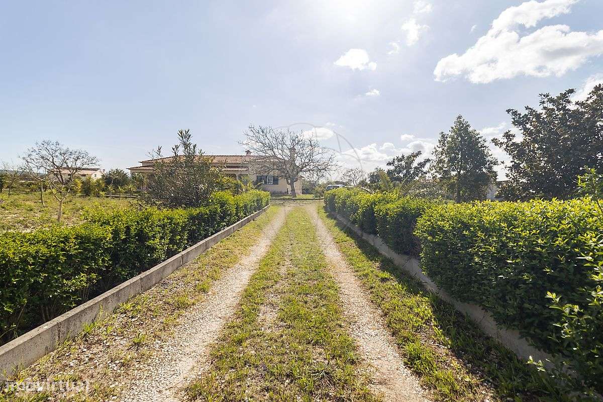 Quinta T3 para venda - Grande imagem: 2/27