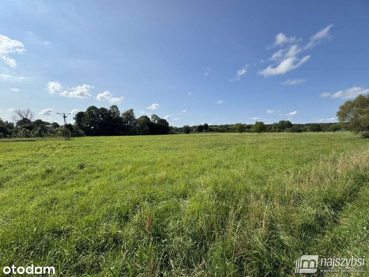 Białogard-Ogromna Działka Pod Miastem - Pełny obrazek: 4/12