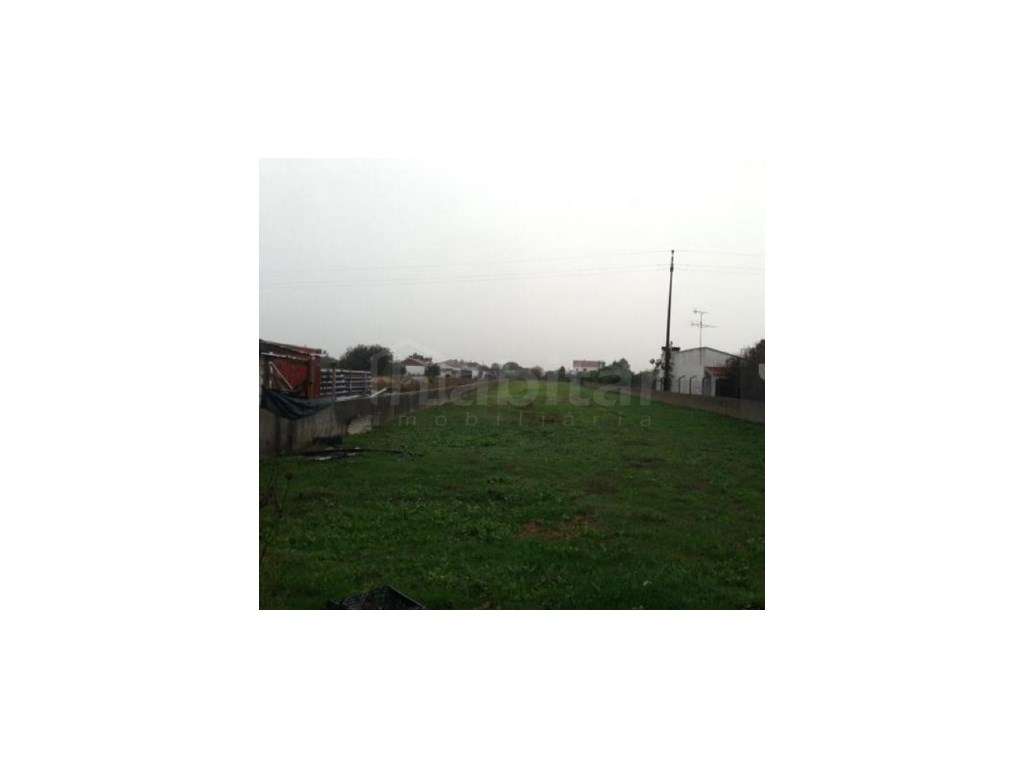 Terreno Rústico com 4.303 m2 - Grande imagem: 2/2