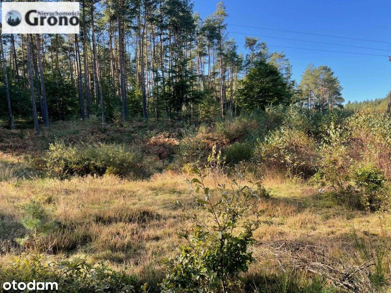 Dzialka Budowlana Uslugowa z Wz-7