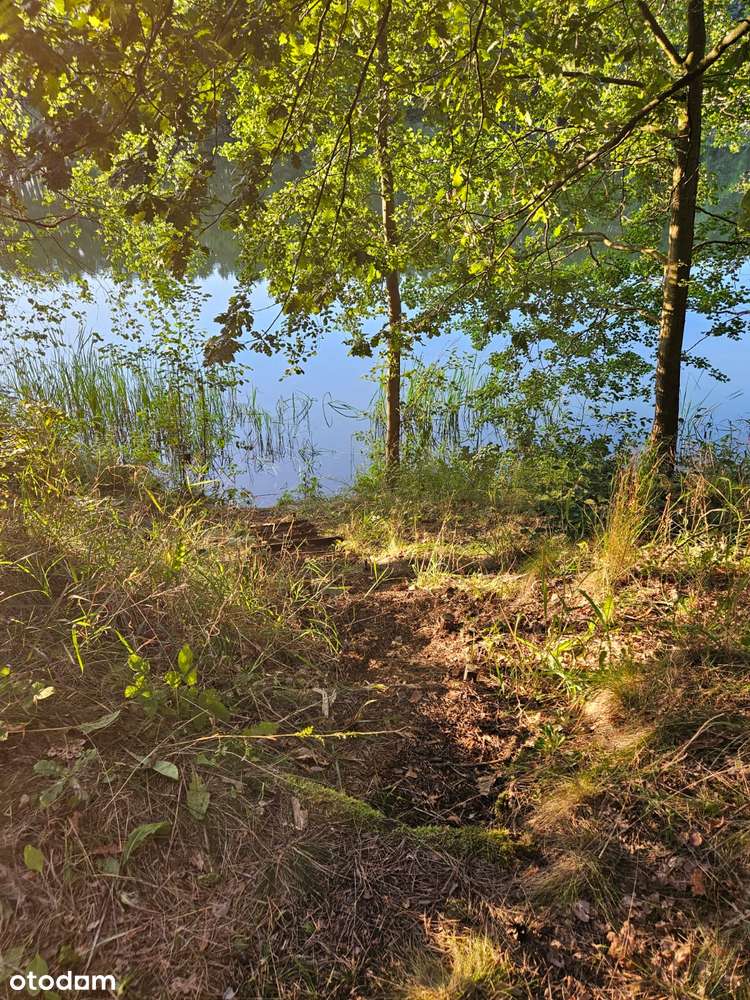 Domek letniskowy BRDA w lesie nad brzegiem jeziora-5