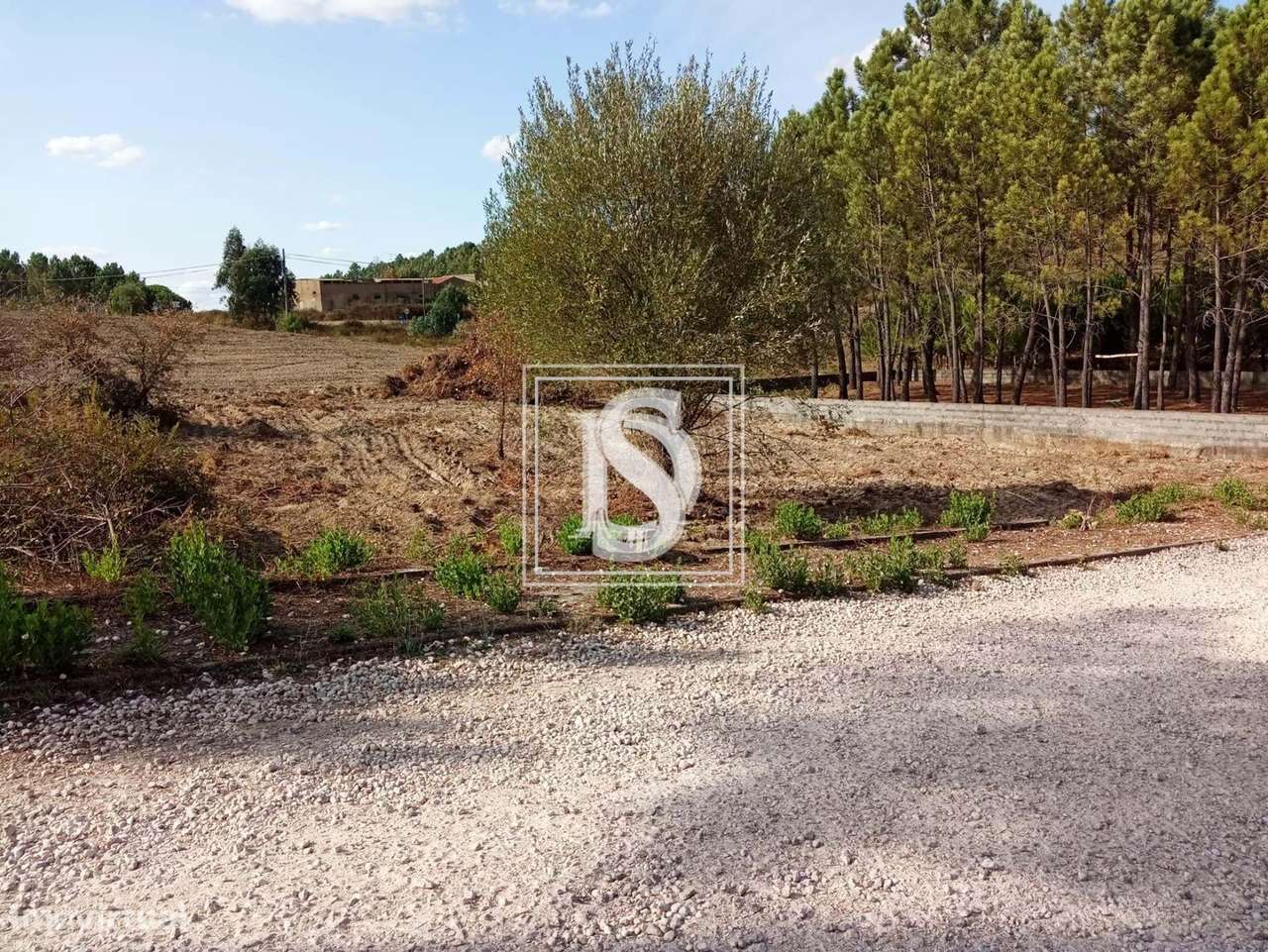 Terreno em UDF de Serra e Junceira-11