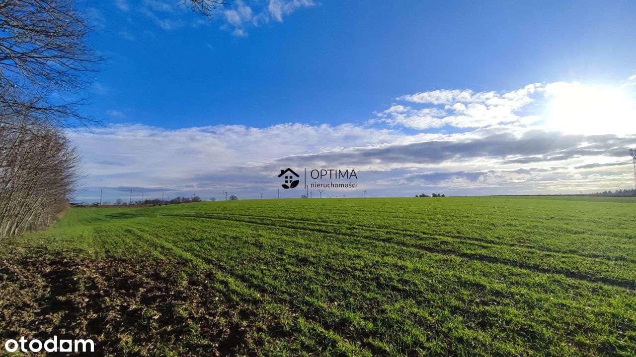 Bociania dz. nr 217/8, 1193m2, 49zł/m2 - Pełny obrazek: 4/10