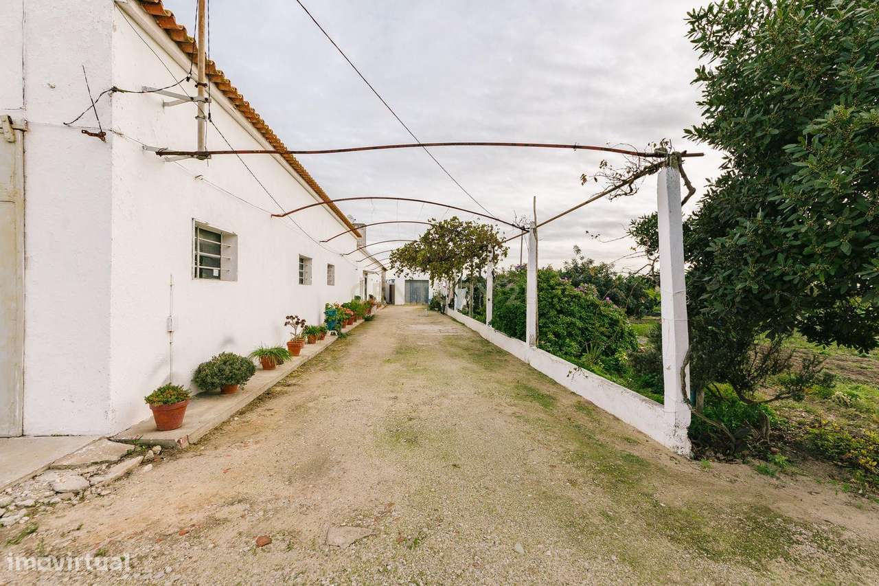 Moradia T2 no Montijo - Grande imagem: 4/45