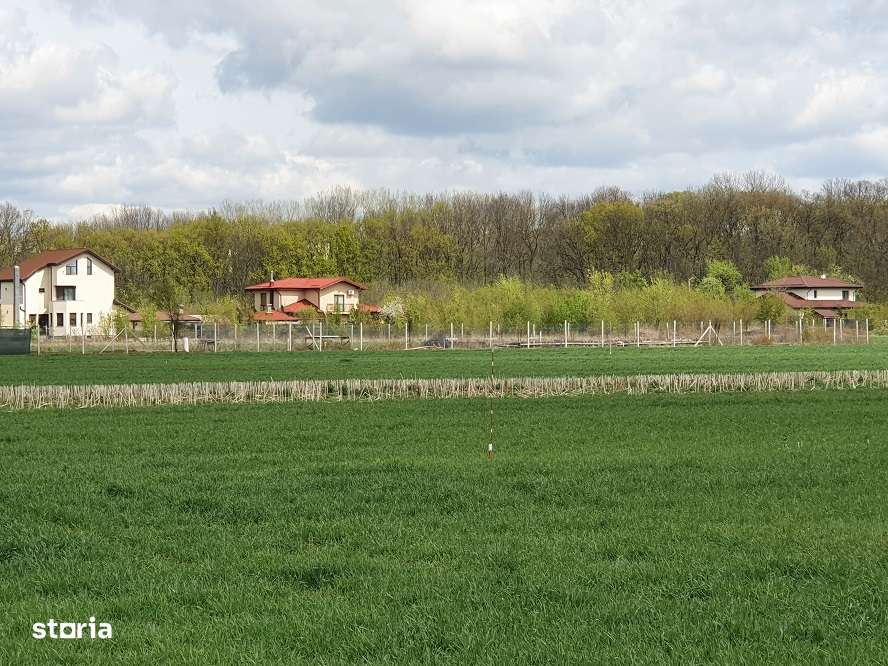 Teren langa padure si utilitati,800 mp,37000 euro - Imagine principală: 4/14