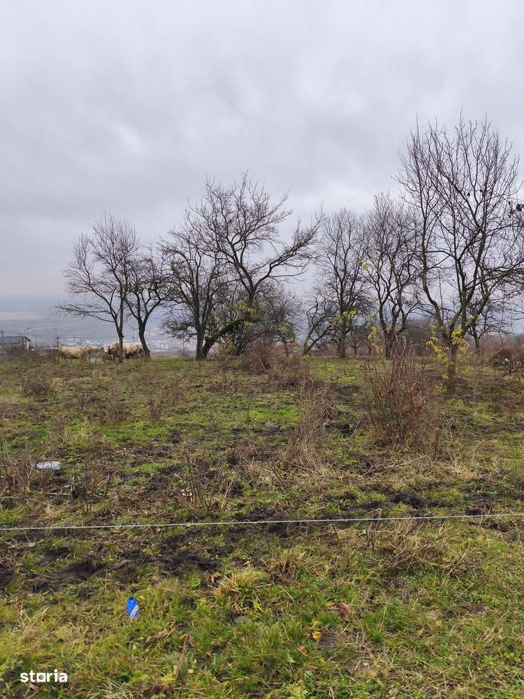 Casa veche + teren 2000 mp - Imagine principală: 4/4