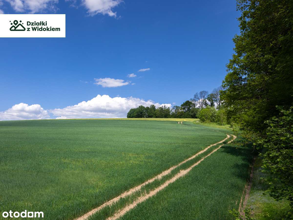 Wojciechów - działka siedliskowa z pięknym widokiem na Góry Izerskie - Pełny obrazek: 4/6