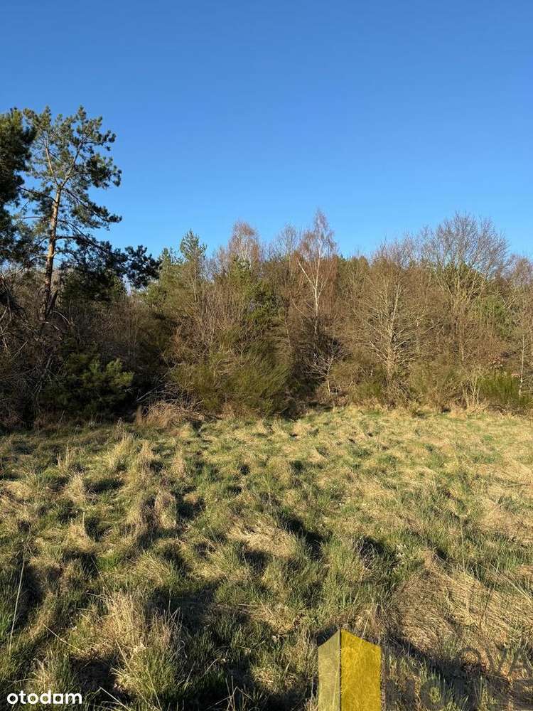 działka 1,3 ha Gardna Wielka - Pełny obrazek: 4/7