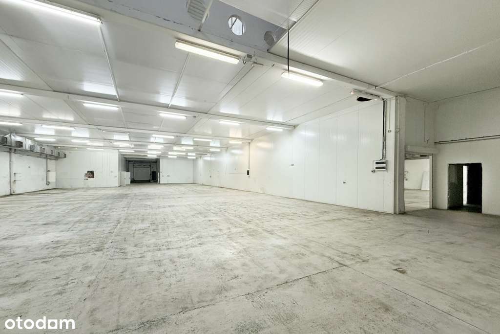 Hala produkcyjno-magazynowa z placem - Pełny obrazek: 5/7