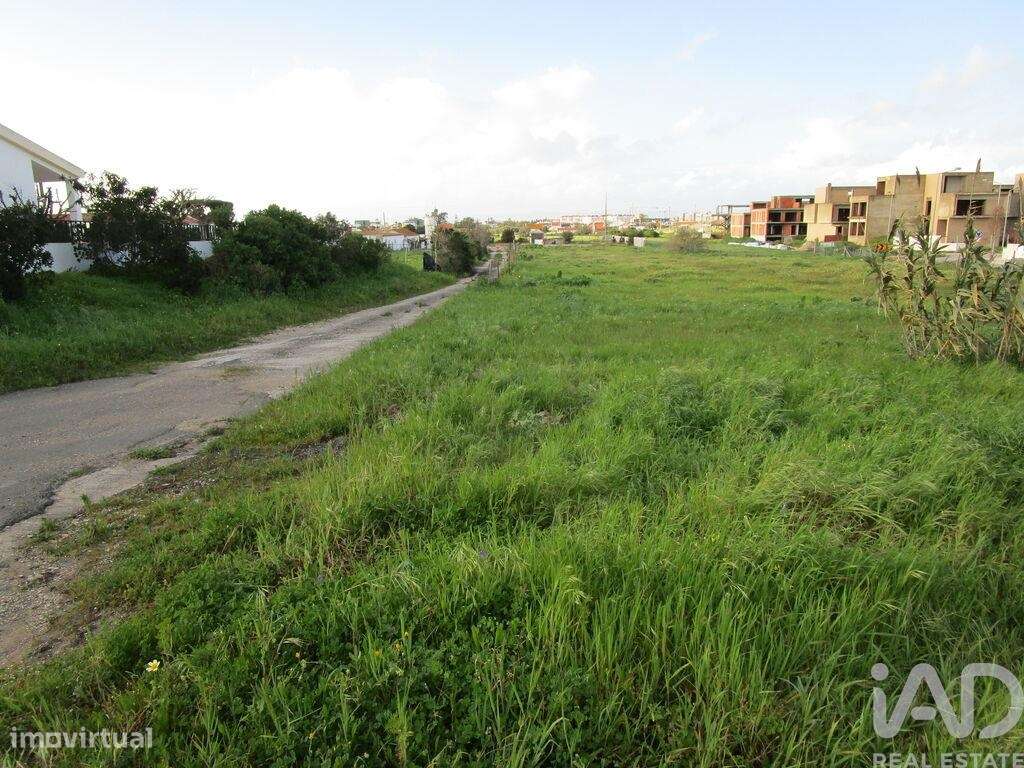 Terreno em Alcochete de 22131,00 m2 - Grande imagem: 3/7