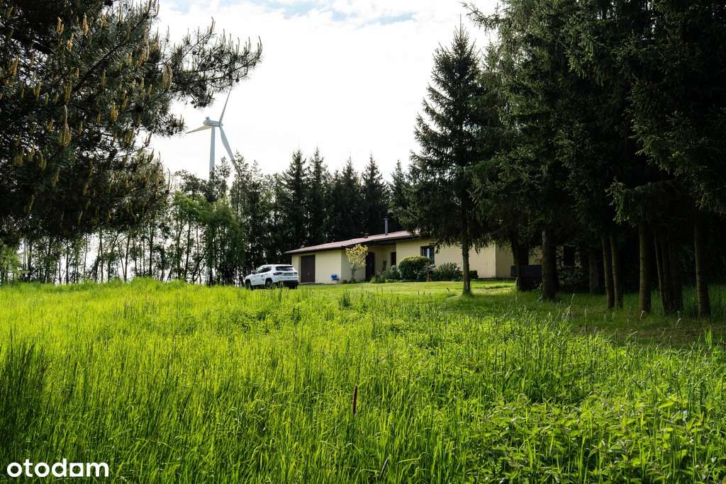 Dom z potencjałem, 1,6 HA ZIEMI + STAW - Pełny obrazek: 4/19