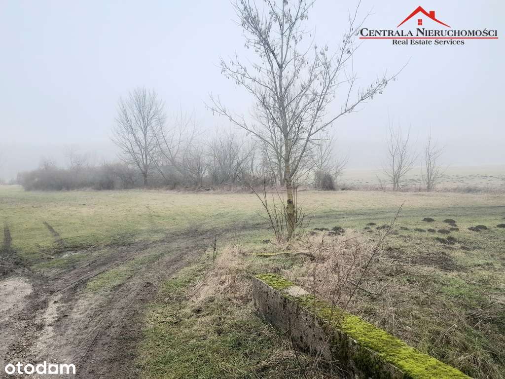 Działka przy Lesie Ostromeckim - Pełny obrazek: 5/6