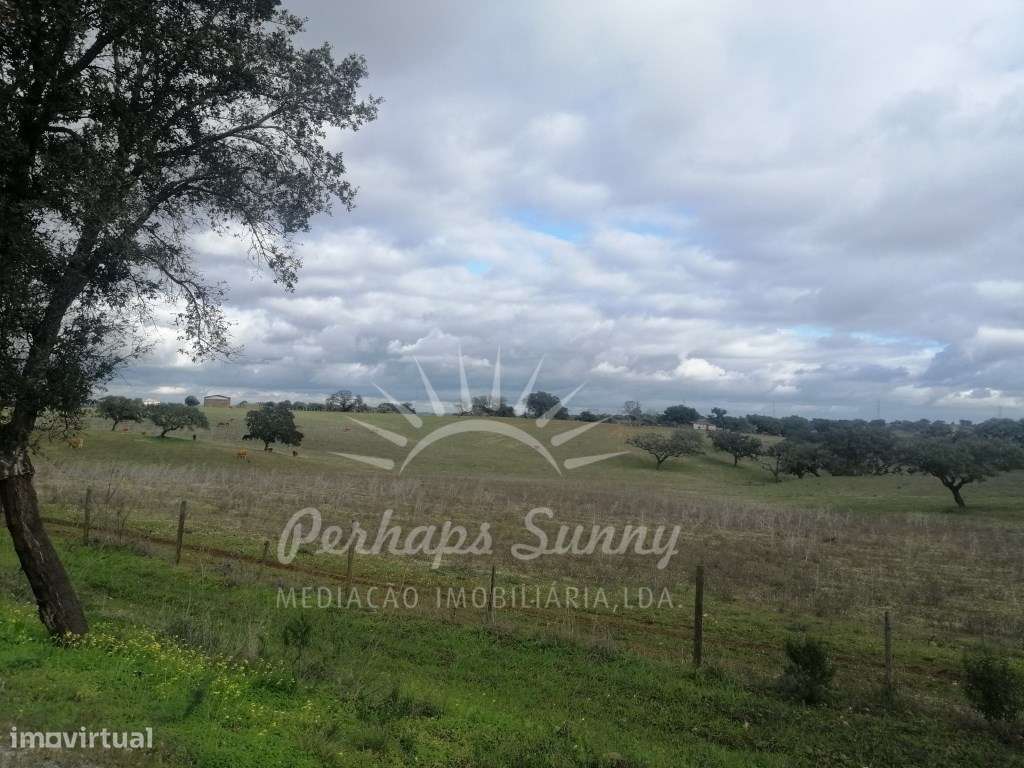 Quinta em Relíquias - Odemira-28