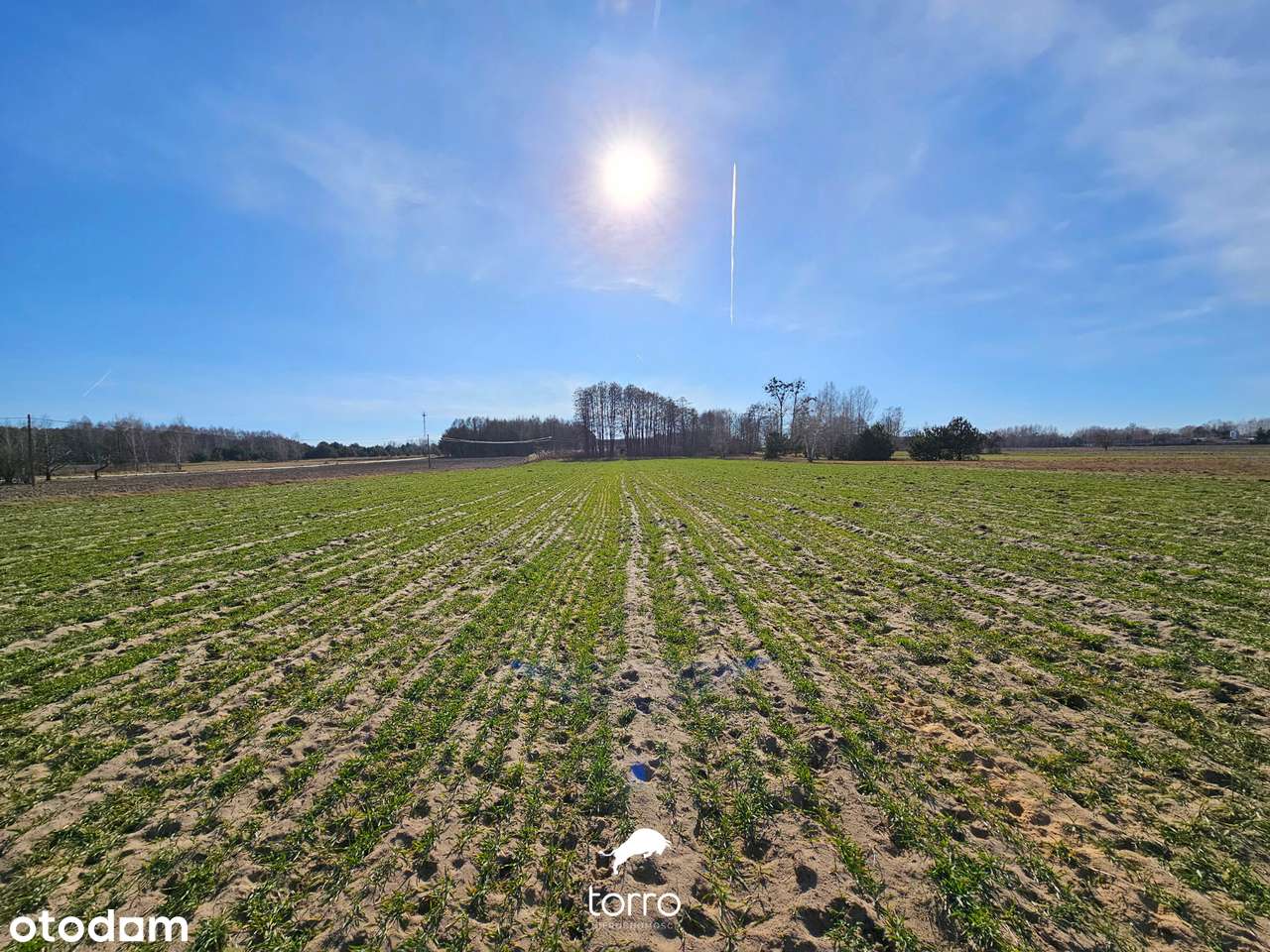 Dwie Działki 3000m² w Kęblinach z WZ - 30min od Centrum Łodzi - Pełny obrazek: 4/14