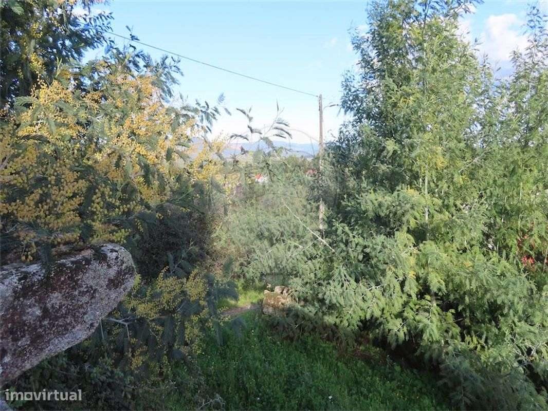 Quinta  para venda - Grande imagem: 3/24