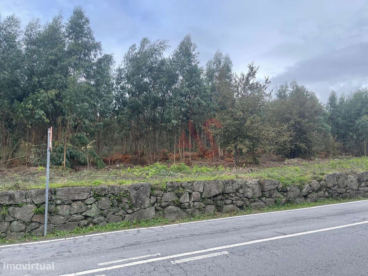 Terreno para construção com 38.934m2 em Nespereira, Lousada - Grande imagem: 4/9