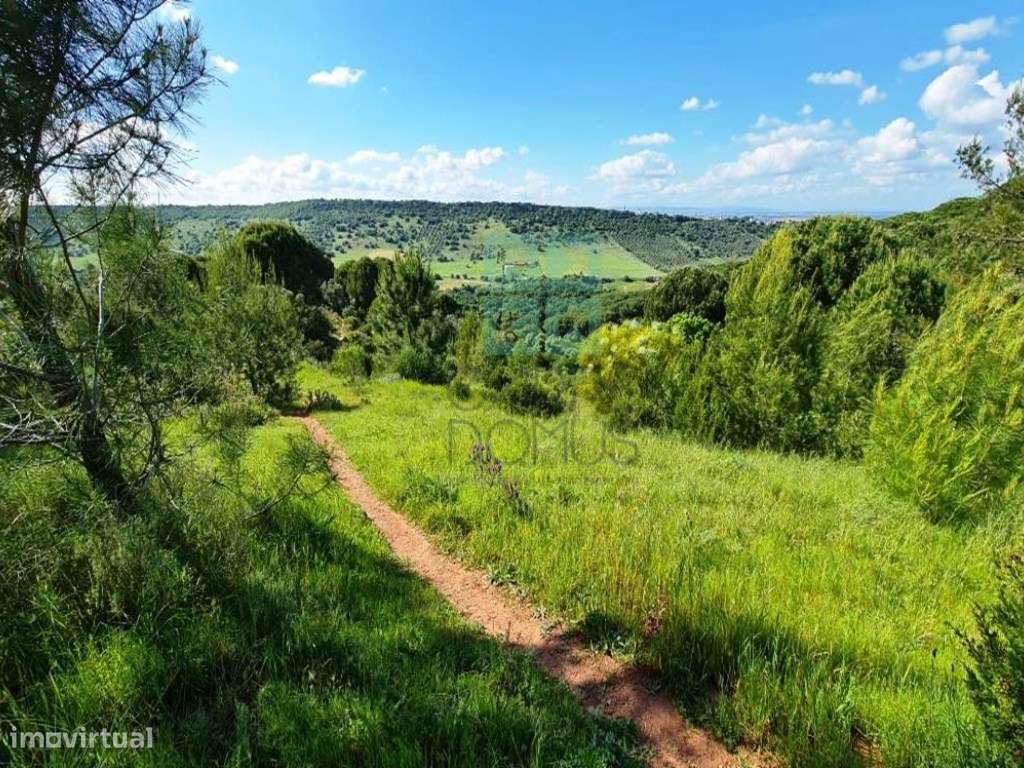 Quinta com 435.487 m2 na Serra da Arrábida, em Palmela, Setúbal-3