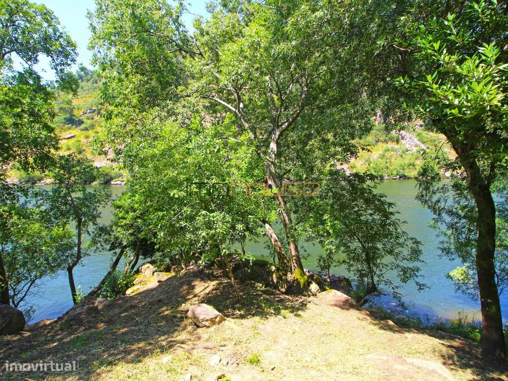 Quinta com frente de Rio Douro-28