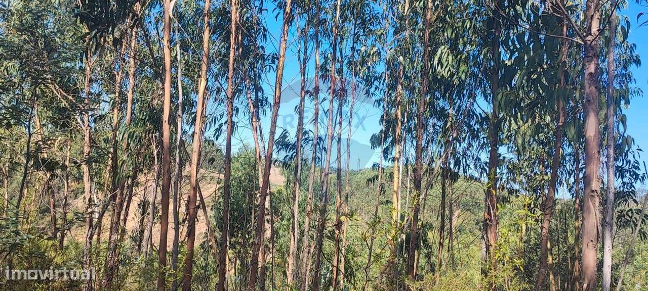 Terreno  para venda - Grande imagem: 2/8