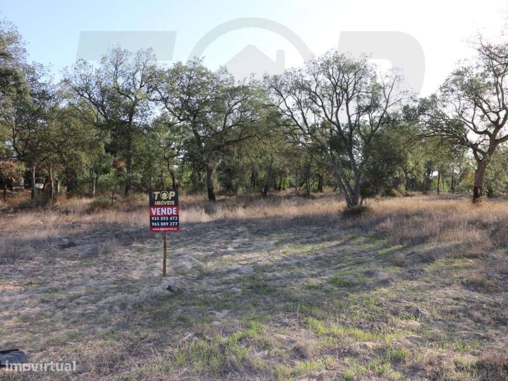 Terreno 1006m2 - Foros de Salvaterra - 60.000€ - Grande imagem: 2/8