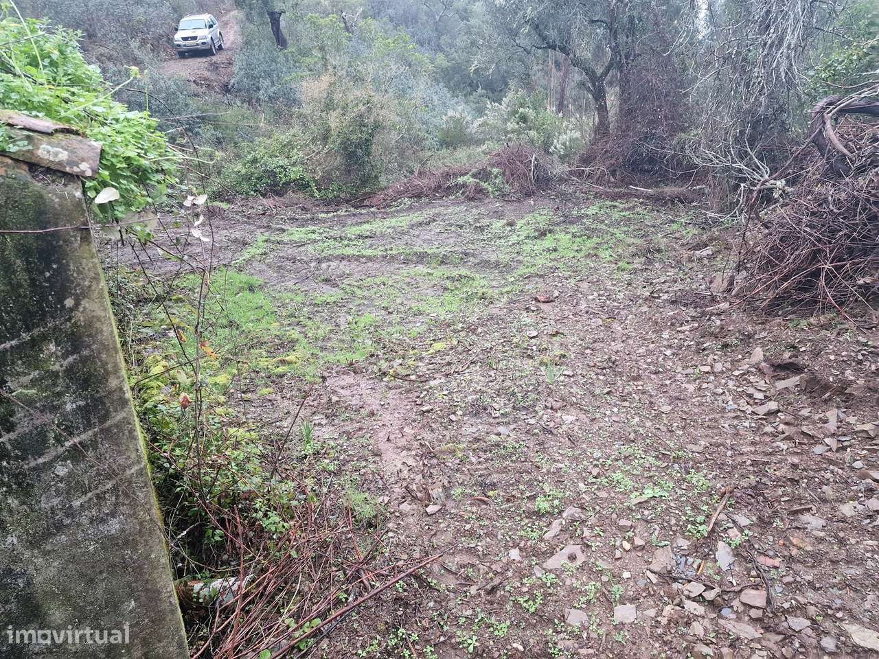 Armazém  Venda em Santa Clara-a-Nova e Gomes Aires,Almodôvar - Grande imagem: 4/10