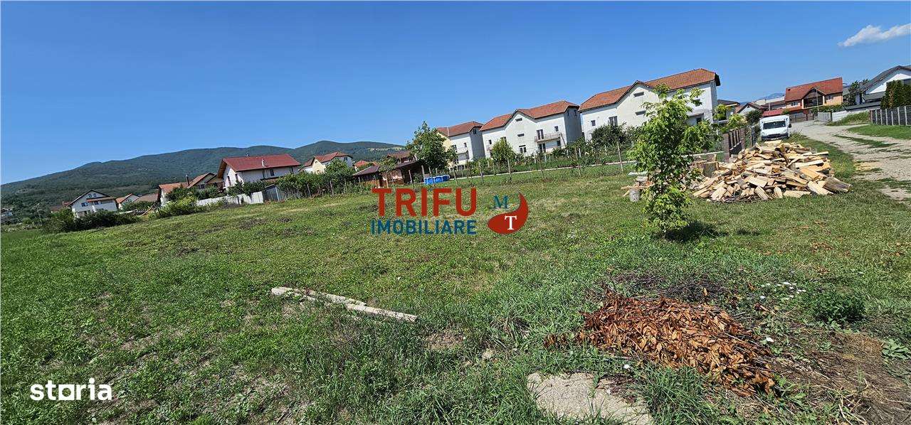 Teren de vanzare Alba Micesti, 1200 mp - Imagine principală: 2/7