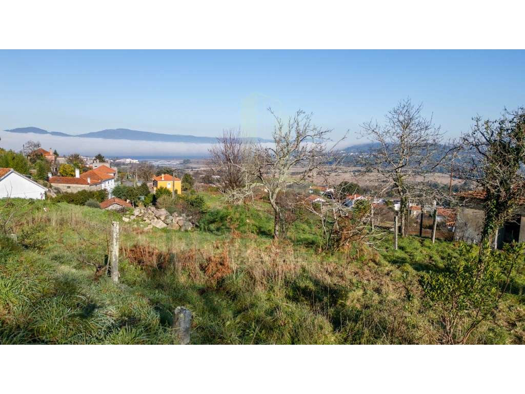 Quintinha com 3567m2 e vistas rio-10