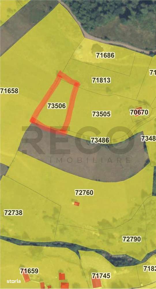 RECO Teren intravilan in Arieseni 1700mp cu Utilitati - Imagine principală: 4/4