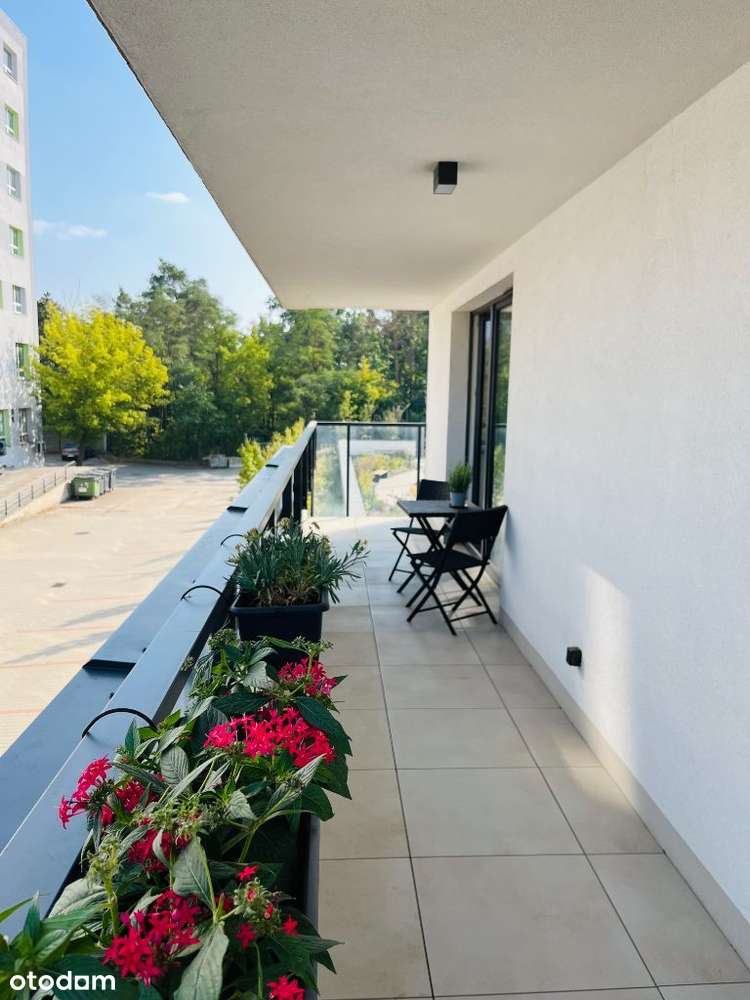 Wynajmę BEZ PROWIZJI od 09.12.2025 mieszkanie 103 m2 bezpośrednio - Pełny obrazek: 5/14