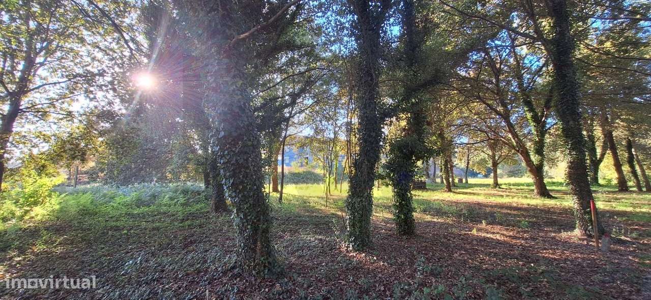 Moradia T4 em UL – Oliveira de Azeméis!-35