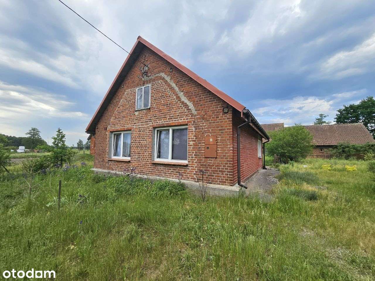 Dom na dużej działce, wraz z zabudowaniami-9