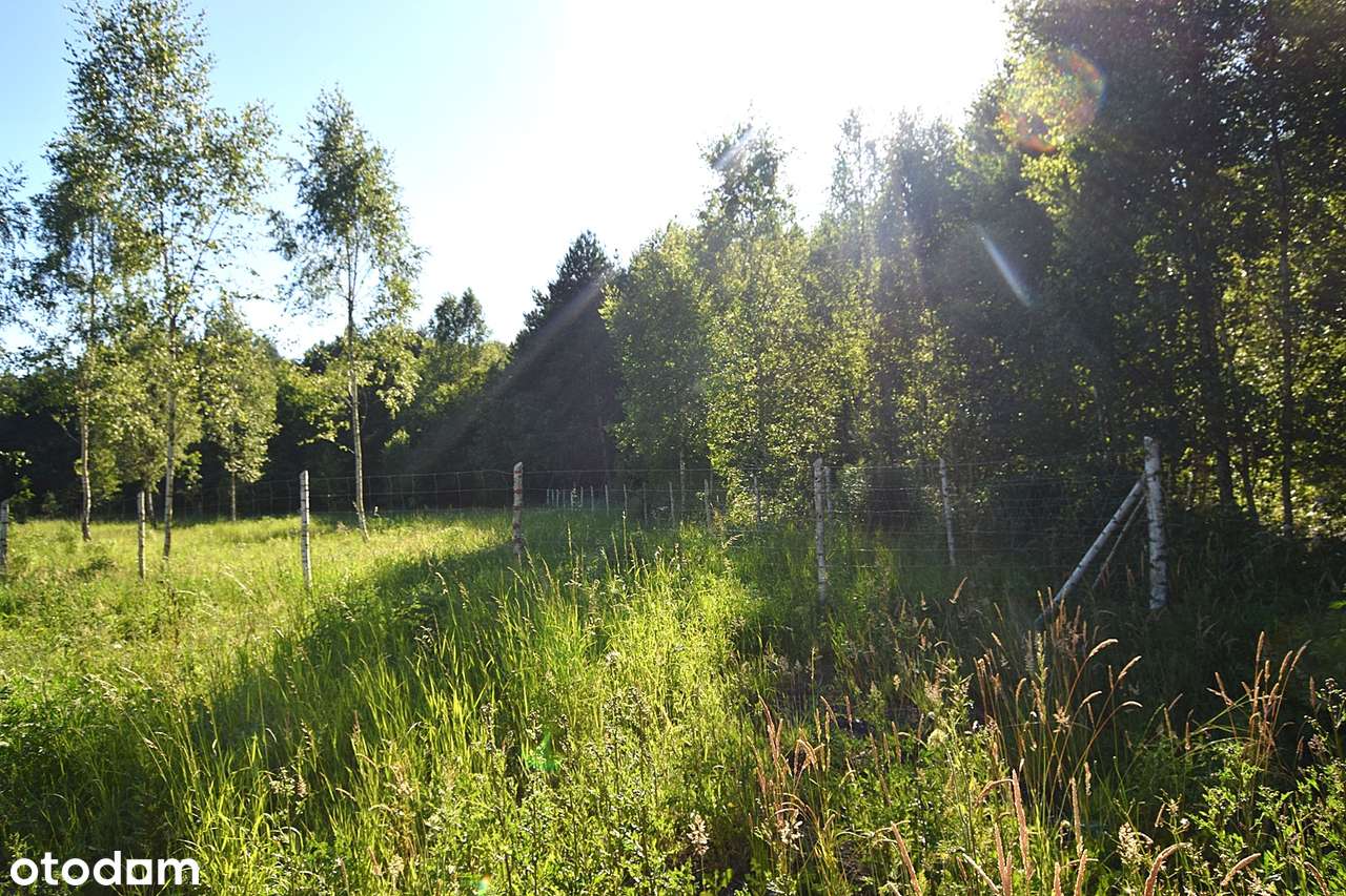 SPRZEDAM !!!! Piękną działkę z warunkami zabudowy gm. Gietrzwałd-4
