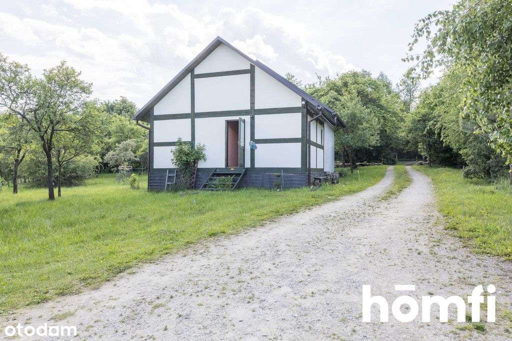 Klimatyczny dwór z sadem pod Twoją inwestycję - Pełny obrazek: 5/19