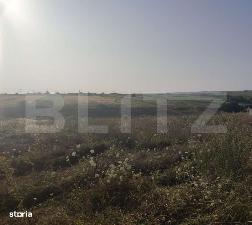 Teren intravilan 5000 mp deschidere 17 ml la DN65 , zona Qfort - Imagine principală: 3/3