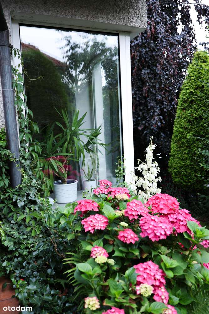 Dom Gdynia z garażem i zielonym otoczeniem-8