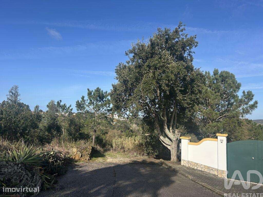 Terreno Agrícola em Mafra - Grande imagem: 3/40