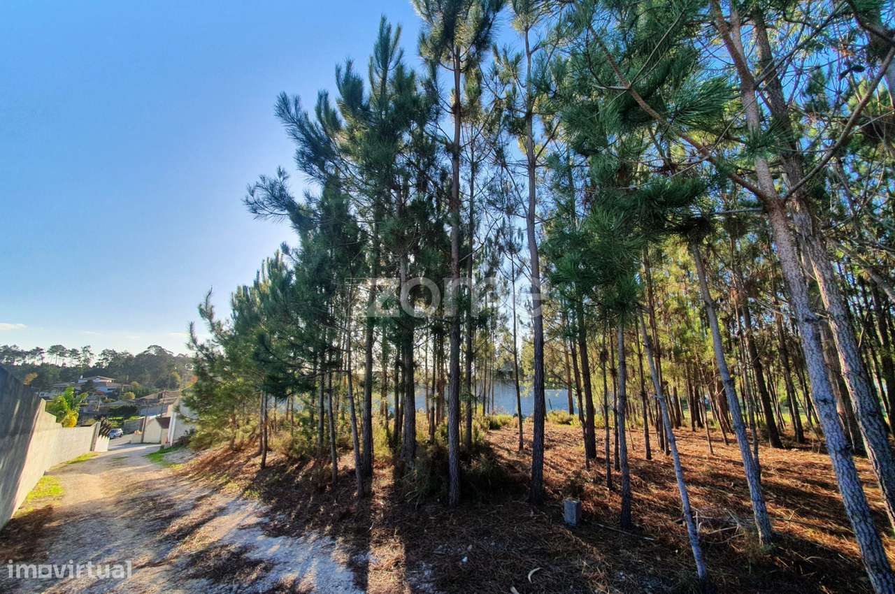 Terreno Rustico - Grande imagem: 2/15