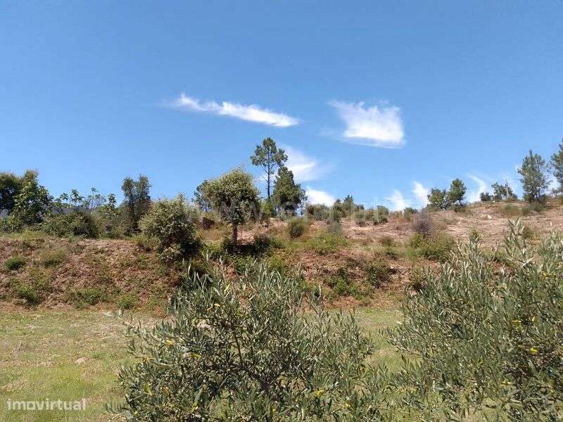 Terreno / Fundão, Vale de Prazeres e Mata da Rainha - Grande imagem: 5/8