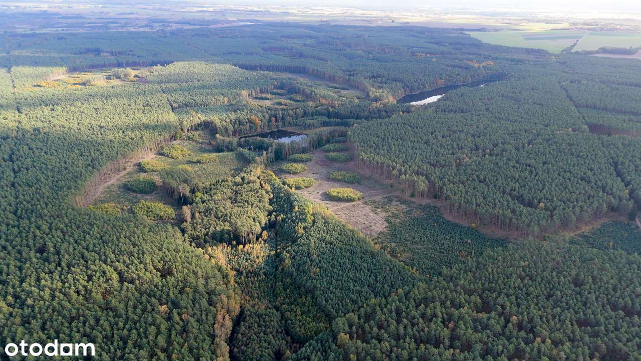 Janczewo 2095 m², DRUGA LINIA ZABUDOWY, BRAK HAŁASU ULICY.-2