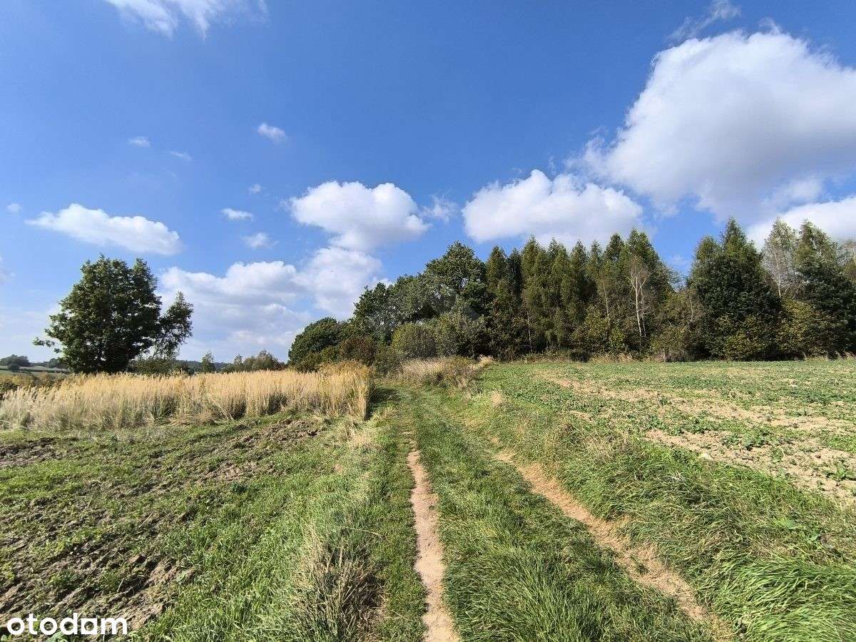 Działka z przeznaczeniem rolnym oraz terenami zielonymi - Pełny obrazek: 5/6
