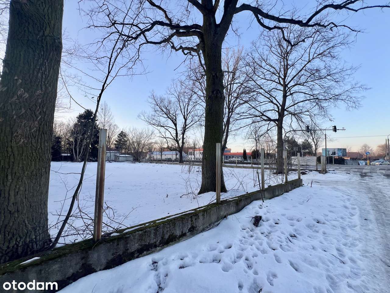 Działka usługowa | Stary Konik | Przy Trasie | Terespolska | Narożna-3