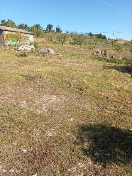 Terreno Agricula - Grande imagem: 4/6