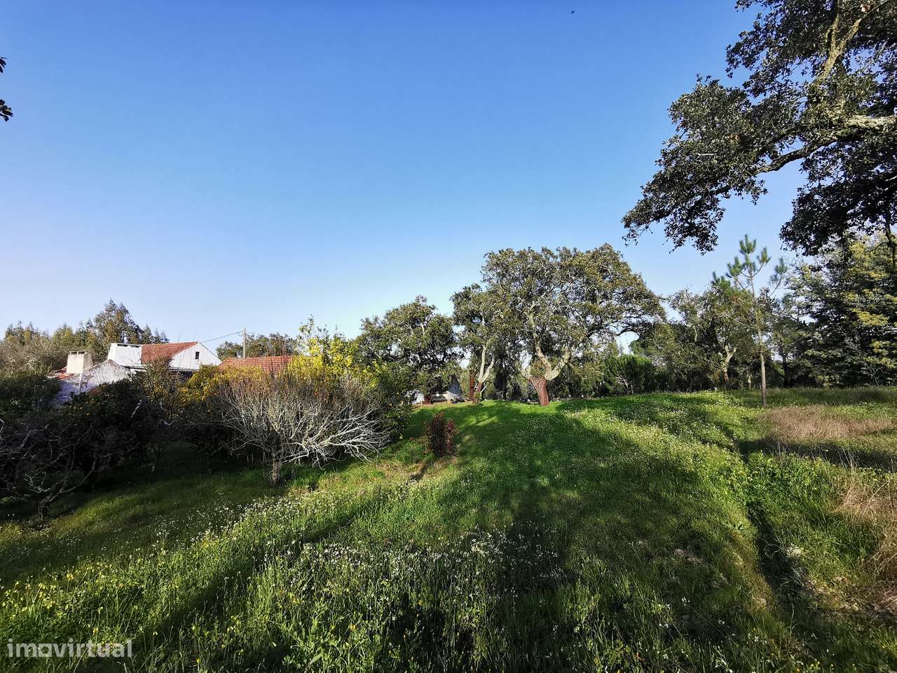 Moradia T2  Lamarosa de Coruche-29