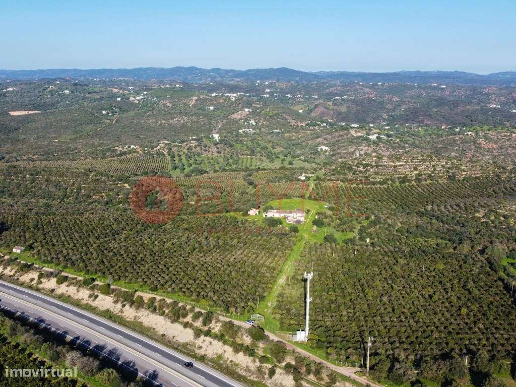 Terreno Misto Exclusivo em Monte Agudo, Tavira - 114 Hectares - Grande imagem: 3/24