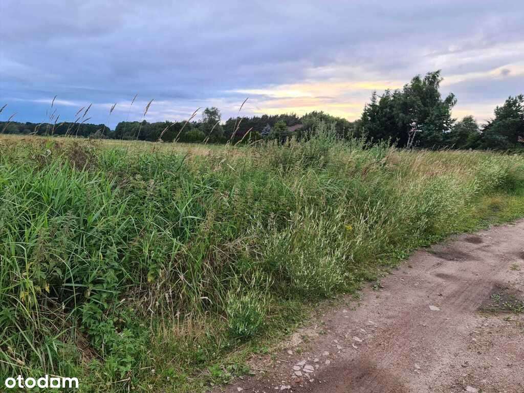 Atrakcyjna działka budowlana w Dobrej. - Pełny obrazek: 4/5