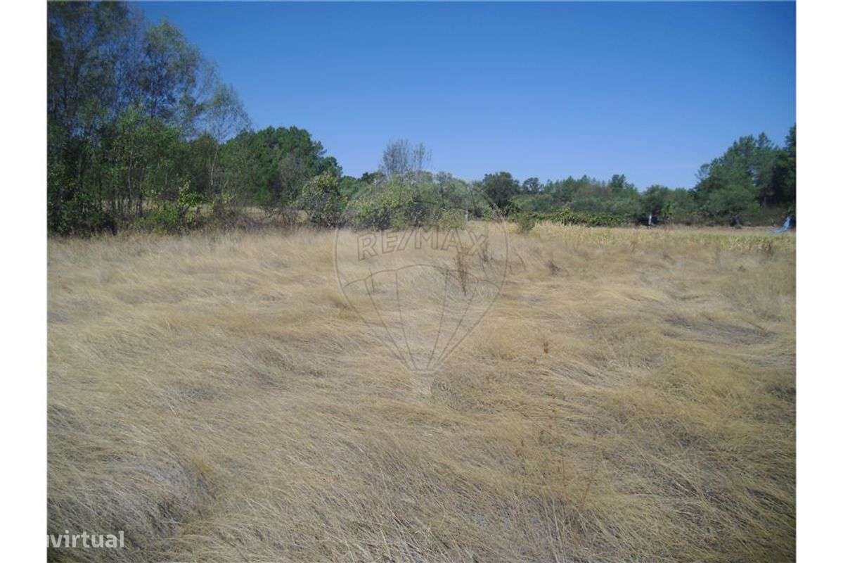 Quinta T0 para venda - Grande imagem: 5/14