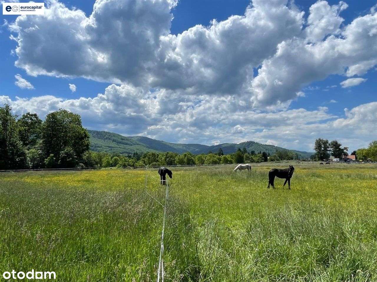 Widokowa Działka Rolna W Prestiżowej Dzielnicy - Pełny obrazek: 5/20
