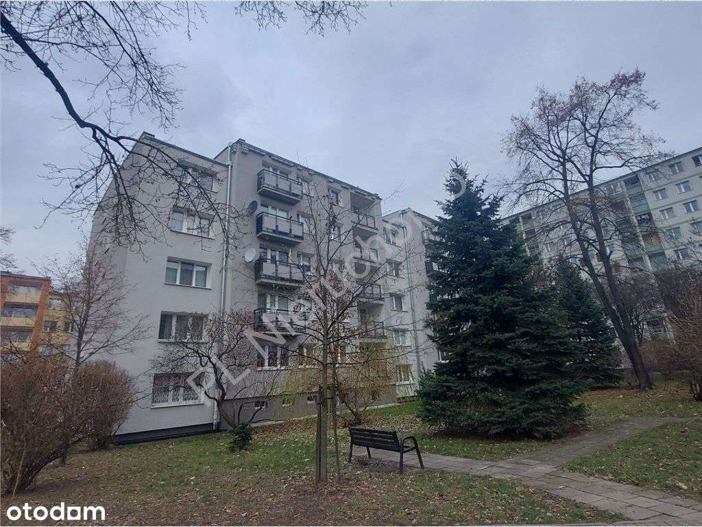 Chwyć za pędzel i stwórz mieszkanie swoich marzeń!-13