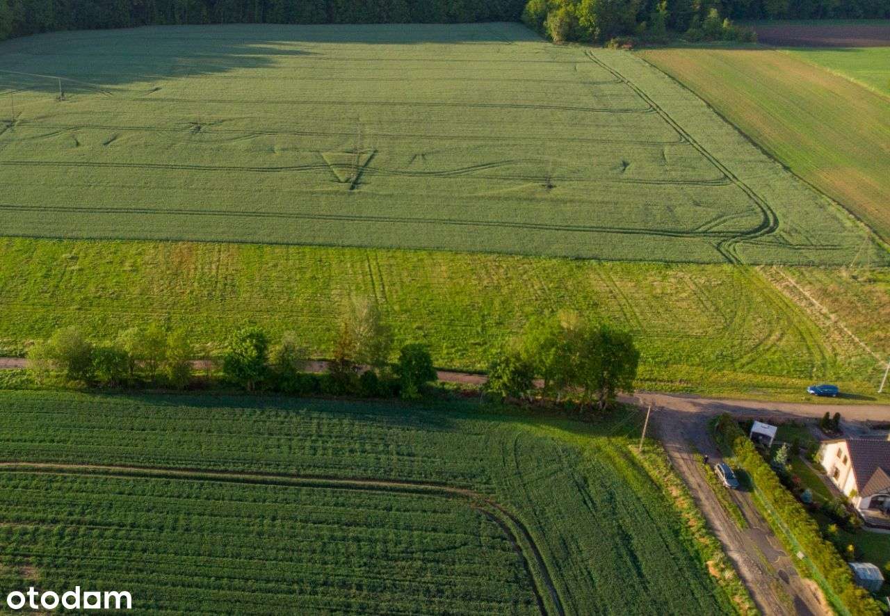 Działka budowlana Sieroczyn-4