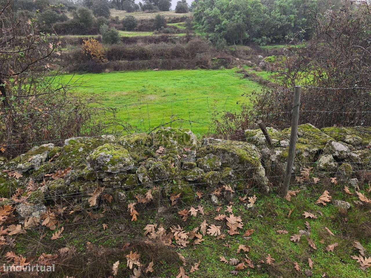 Terreno Rustico com Ruína e Ribeiro – Martianas, Fundão – Proximidade - Grande imagem: 4/9